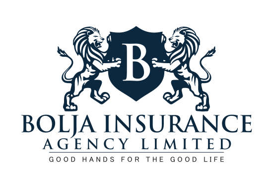 Bolja Insurance Agency Limited Logo