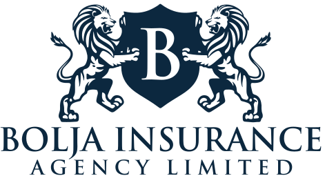 Bolja Insurance Agency Limited Logo